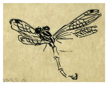 Visualizza l'immagine "FD D 2215"